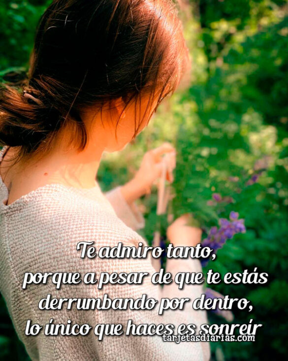 TE ADMIRO TANTO, PORQUE A PESAR DE QUE TE ESTÁS DERRUMBANDO, LO ÚNICO QUE HACES ES SONREÍR