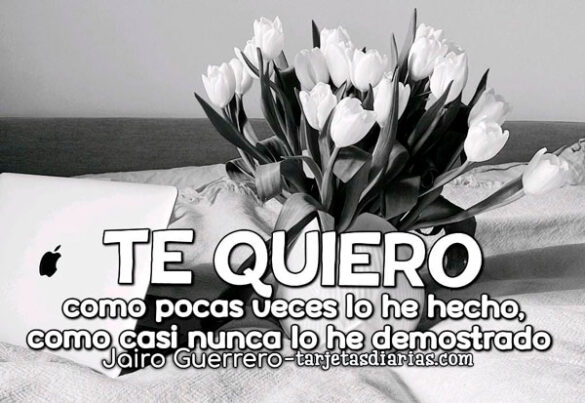 TE QUIERO, COMO POCAS VECES LO HE HECHO, COMO CASI NUNCA LO HE DEMOSTRADO