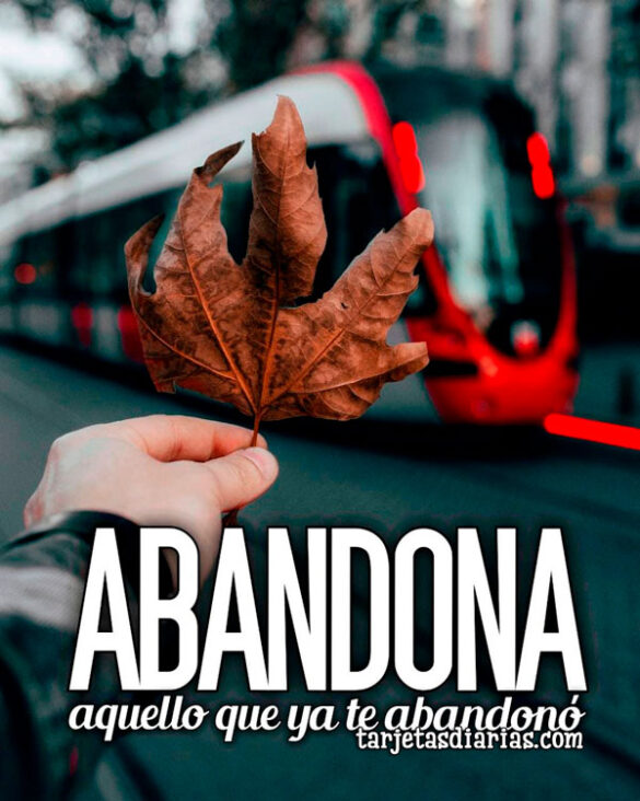ABANDONA, AQUELLO QUE YA TE ABANDONÓ