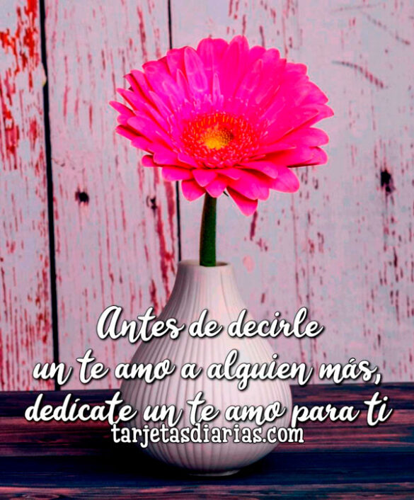ANTES DE DECIRLE UN TE AMO A ALGUIEN MÁS, DEDÍCATE UN TE AMO PARA TI