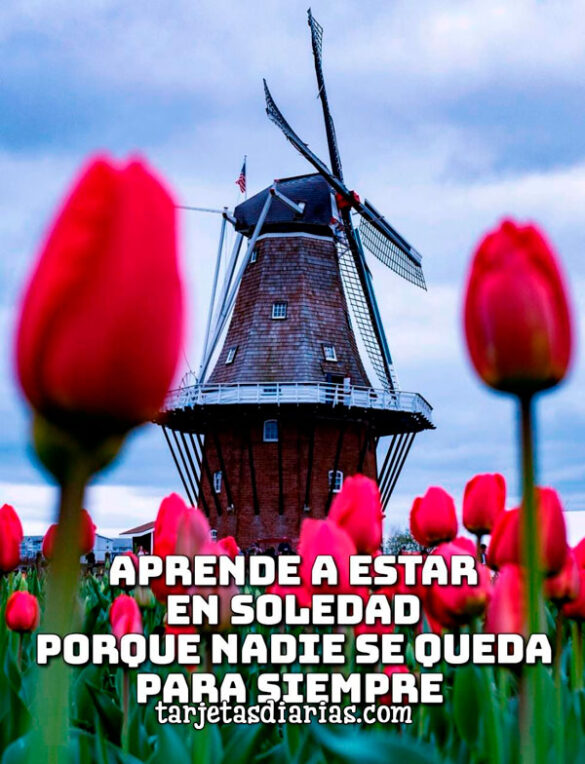 APRENDE A ESTAR EN SOLEDAD PORQUE NADIE SE QUEDA PARA SIEMPRE