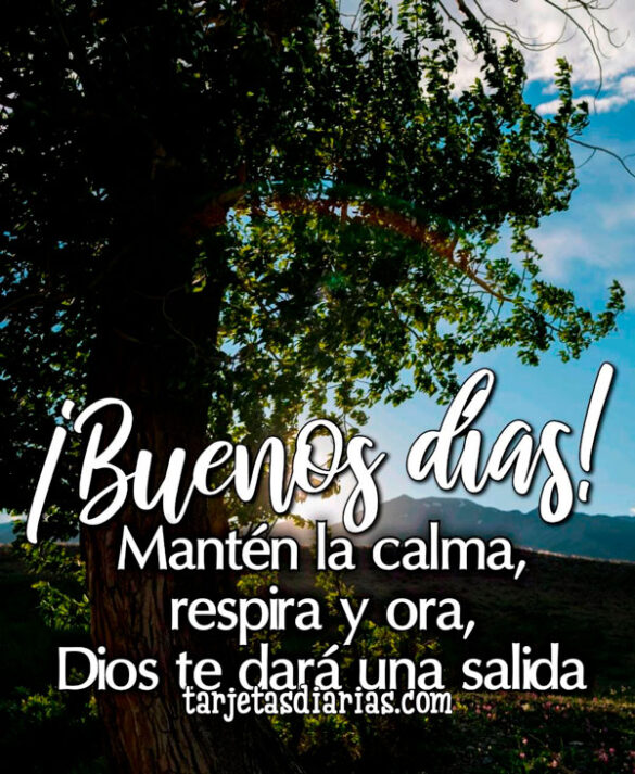 ¡BUENOS DÍAS! MANTÉN LA CALMA, RESPIRA Y ORA, DIOS TE DARÁ UNA SALIDA