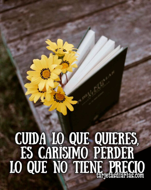 CUIDA LO QUE QUIERES, ES CARÍSIMO PERDER LO QUE NO TIENE PRECIO