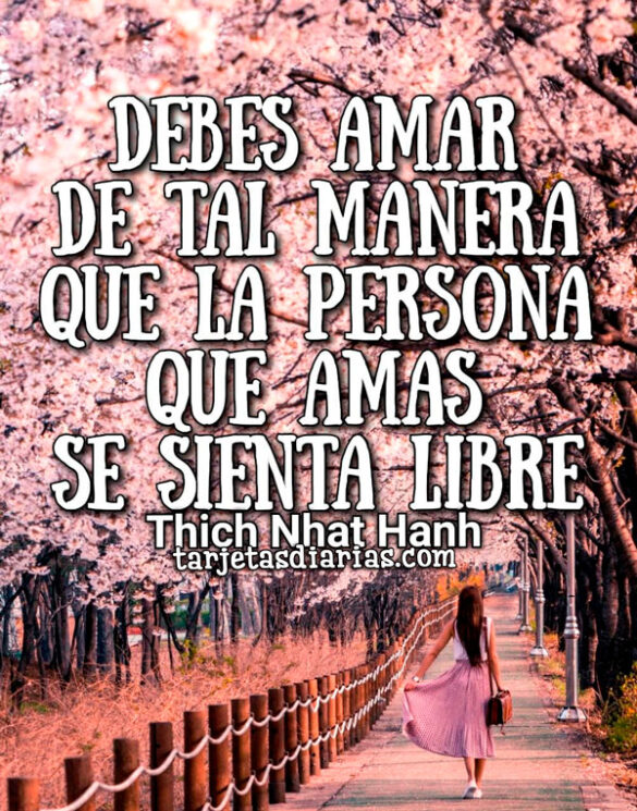 DEBES AMAR DE TAL MANERA QUE LA PERSONA QUE AMAS SE SIENTA LIBRE