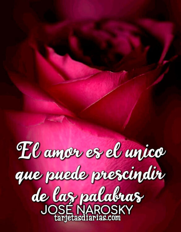 EL AMOR ES EL ÚNICO QUE PUEDE PRESCINDIR DE LAS PALABRAS