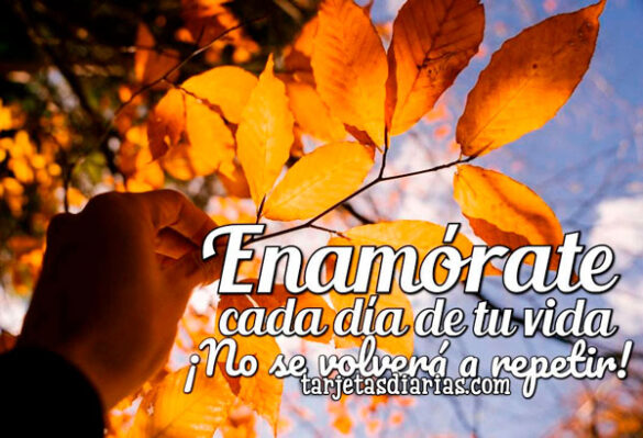 ENAMÓRATE CADA DÍA DE TU VIDA ¡NO SE VOLVERÁ A REPETIR!