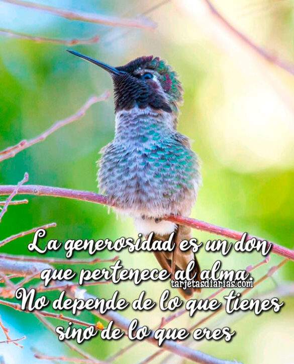 LA GENEROSIDAD ES UN DON QUE PERTENECE AL ALMA. NO DEPENDE DE LO QUE TIENES SINO DE LO QUE ERES