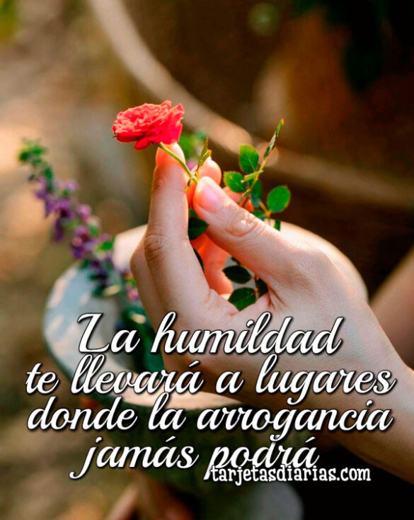 LA HUMILDAD TE LLEVARÁ A LUGARES DONDE LA ARROGANCIA JAMÁS PODRÁ