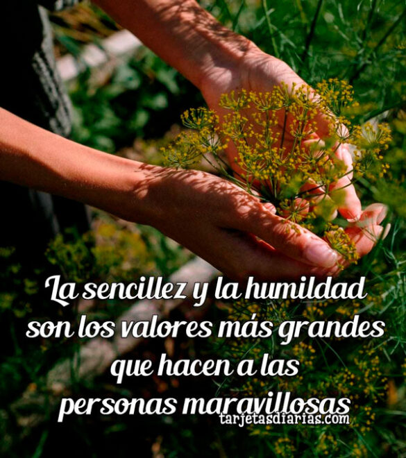 LA SENCILLEZ Y LA HUMILDAD SON LOS VALORES MÁS GRANDES