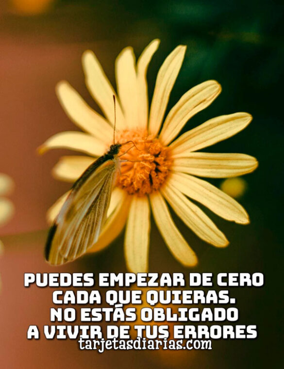 PUEDES EMPEZAR DE CERO CADA QUE QUIERAS. NO ESTAS OBLIGADO A VIVIR DE TUS ERRORES