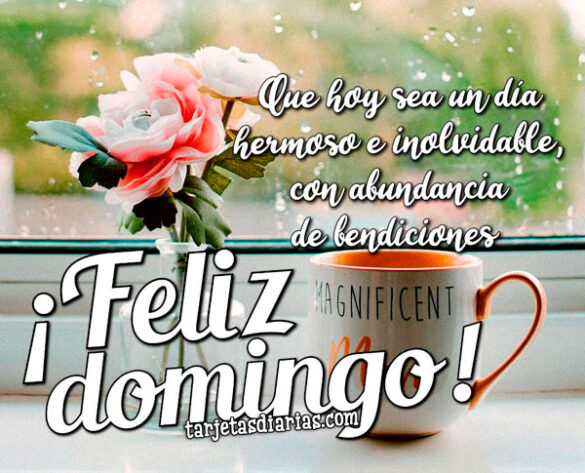 QUE HOY SEA UN DÍA HERMOSO E INOLVIDABLE, CON ABUNDANCIA DE BENDICIONES ¡FELIZ DOMINGO!