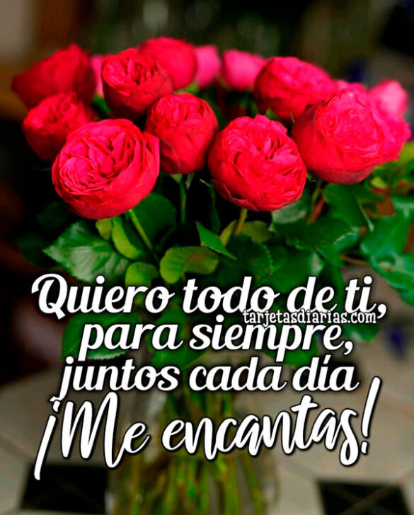 QUIERO TODO DE TI, PARA SIEMPRE, JUNTOS CADA DÍA