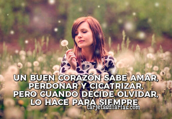 UN BUEN CORAZÓN SABE AMAR, PERDONAR Y CICATRIZAR, PERO CUANDO DECIDE OLVIDAR, LO HACE PARA SIEMPRE