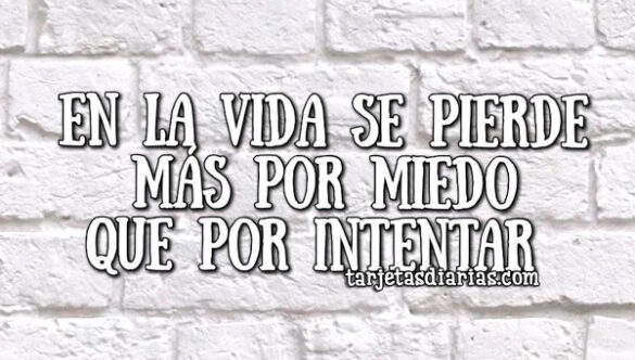 EN LA VIDA SE PIERDE MÁS POR MIEDO QUE POR INTENTAR