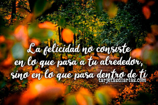 LA FELICIDAD NO CONSISTE EN LO QUE PASA A TU ALREDEDOR, SINO EN LO QUE ...