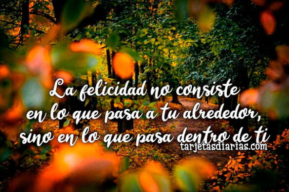 LA FELICIDAD NO CONSISTE EN LO QUE PASA A TU ALREDEDOR, SINO EN LO QUE PASA DENTRO DE TI
