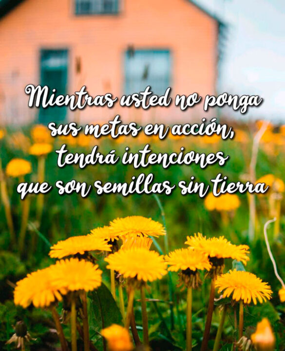 MIENTRAS USTED NO PONGA SUS METAS EN ACCIÓN, TENDRÁ INTENCIONES QUE SON SEMILLAS SIN TIERRA
