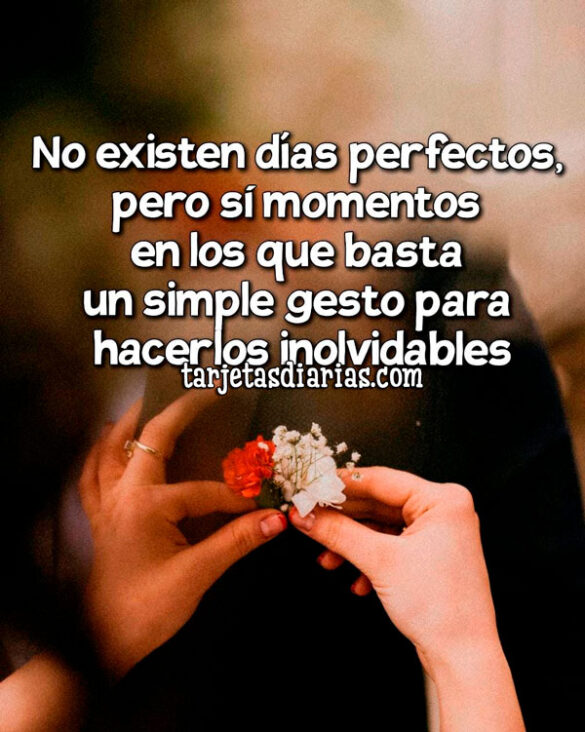 NO EXISTEN DÍAS PERFECTOS, PERO SÍ MOMENTOS EN LOS QUE BASTA UN SIMPLE GESTO PARA HACERLOS INOLVIDABLES