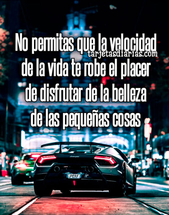 NO PERMITAS QUE LA VELOCIDAD DE LA VIDA TE ROBE EL PLACER DE DISFRUTAR DE LAS PEQUEÑAS COSAS