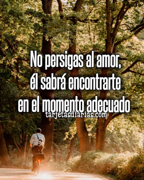 NO PERSIGAS AL AMOR, ÉL SABRÁ ENCONTRARTE EN EL MOMENTO ADECUADO