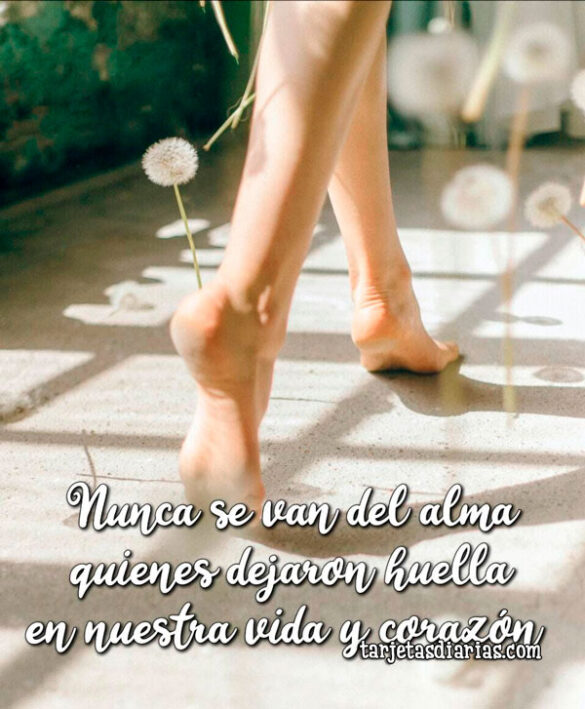 NUNCA SE VAN DEL ALMA QUIENES DEJARON HUELLA EN NUESTRA VIDA Y CORAZÓN