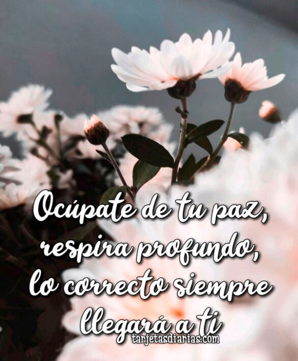 OCÚPATE DE TU PAZ, RESPIRA PROFUNDO, LO CORRECTO SIEMPRE LLEGARÁ A TI