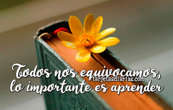TODOS NOS EQUIVOCAMOS, LO IMPORTANTE ES APRENDER