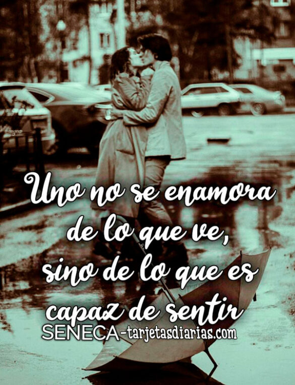 UNO NO SE ENAMORA DE LO QUE VE, SINO DE LO QUE ES CAPAZ DE SENTIR