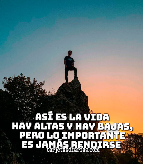 ASÍ ES LA VIDA HAY ALTAS Y HAY BAJAS, PERO LO IMPORTANTE ES JAMÁS RENDIRSE