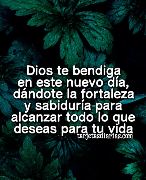 DIOS TE BENDIGA EN ESTE NUEVO DÍA DÁNDOTE LA FORTALEZA Y SABIDURÍA PARA ...