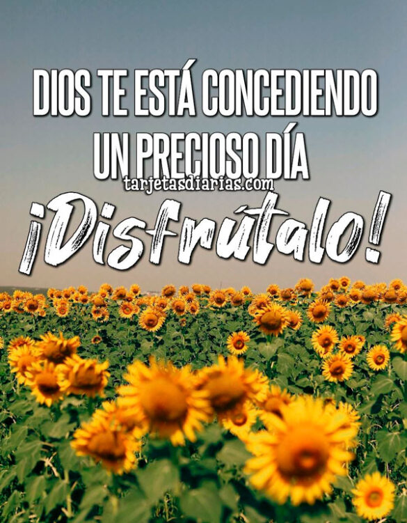 DIOS TE ESTÁ CONCEDIENDO UN PRECIOSO DÍA ¡DISFRÚTALO!