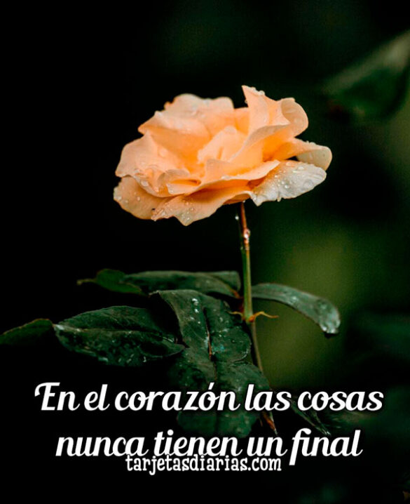 EN EL CORAZÓN LAS COSAS NUNCA TIENEN UN FINAL