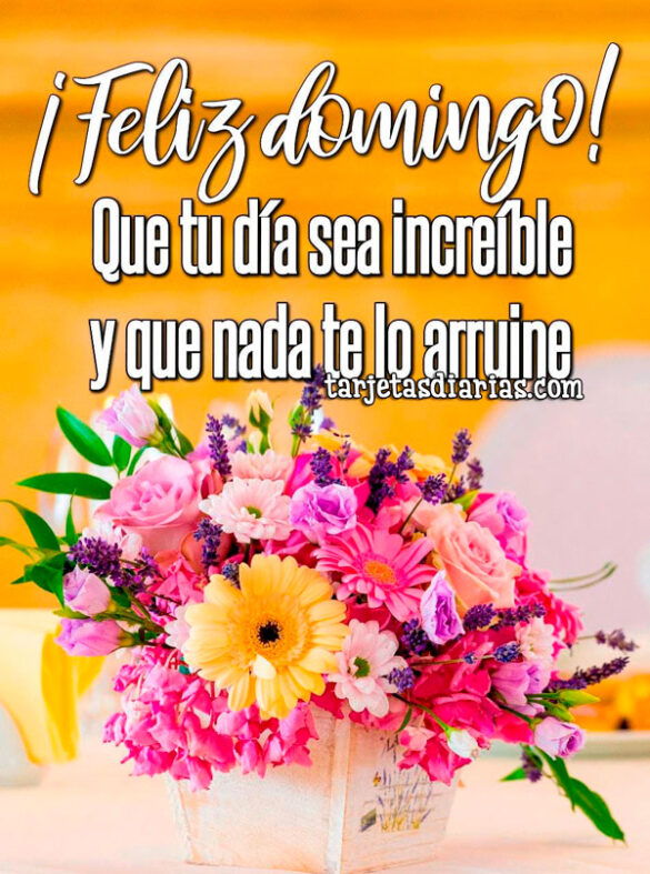 ¡FELIZ DOMINGO! QUE TU DÍA SEA INCREÍBLE Y QUE NADA TE LO ARRUINE