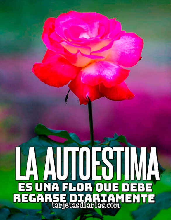 LA AUTOESTIMA ES UNA FLOR QUE DEBE REGARSE DIARIAMENTE