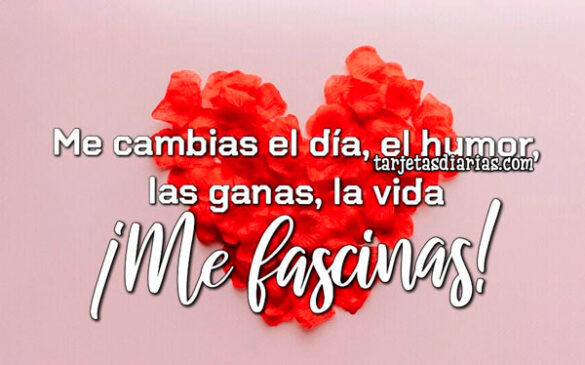 ME CAMBIAS EL DÍA, EL HUMOR, LAS GANAS, LA VIDA ¡ME FASCINAS!