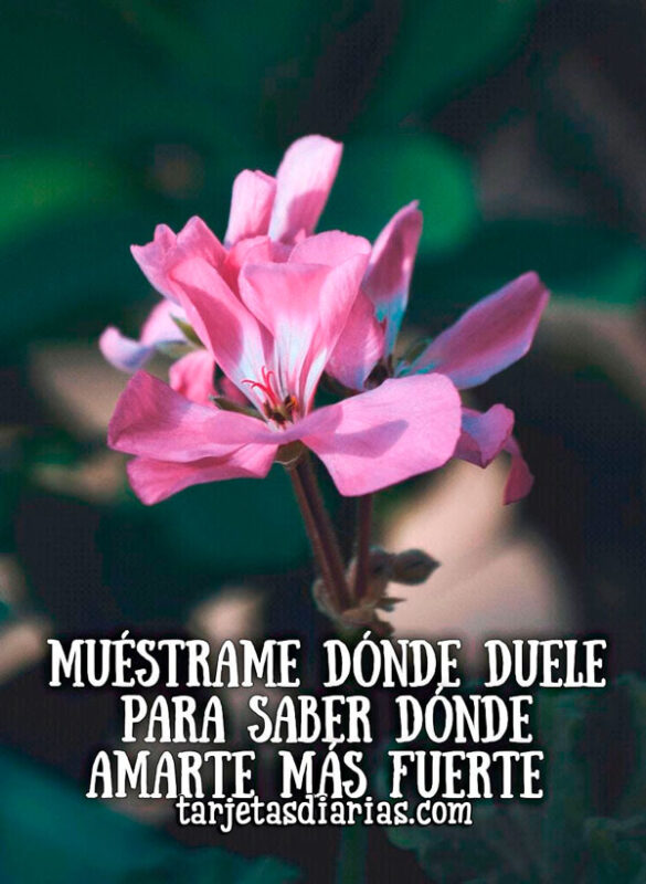MUÉSTRAME DÓNDE DUELE PARA SABER DÓNDE AMARTE MÁS FUERTE