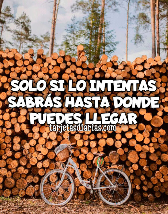 SOLO SI LO INTENTAS SABRÁS HASTA DONDE PUEDES LLEGAR