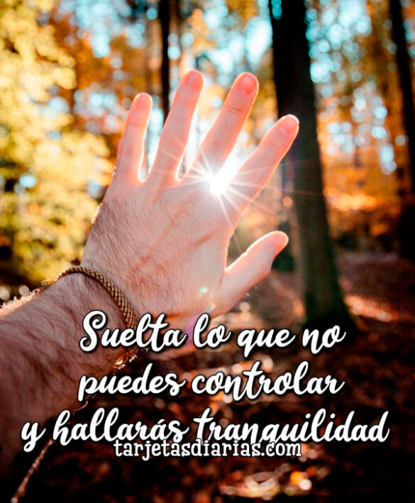 SUELTA LO QUE NO PUEDES CONTROLAR Y HALLARÁS TRANQUILIDAD