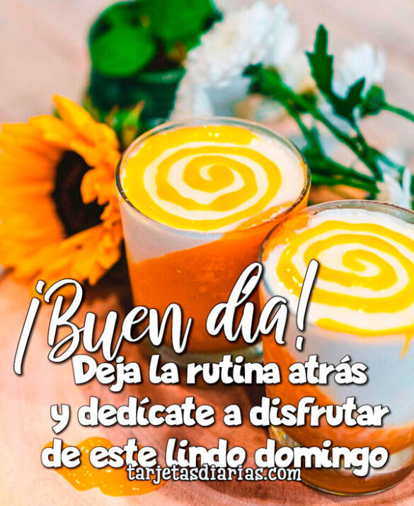 ¡BUEN DÍA! DEJA LA RUTINA ATRÁS Y DEDÍCATE A DISFRUTAR DE ESTE LINDO DOMINGO
