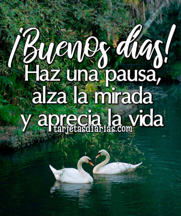 ¡BUENOS DÍAS! HAZ UNA PAUSA, ALZA LA MIRADA Y APRECIA LA VIDA