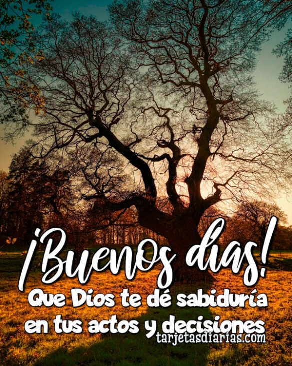 ¡BUENOS DÍAS! QUE DIOS TE DÉ LA SABIDURÍA EN TUS ACTOS Y DECISIONES