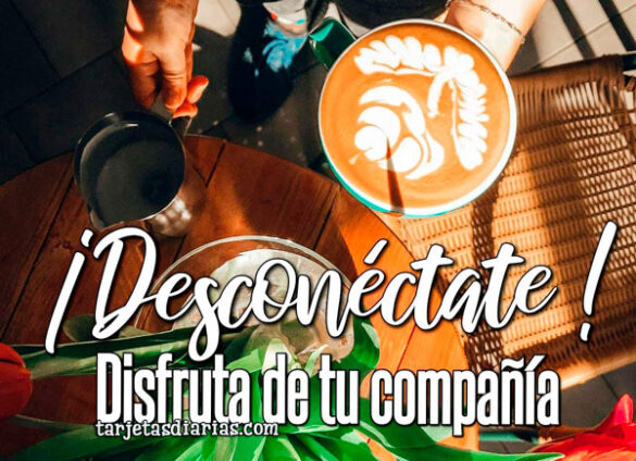 ¡DESCONÉCTATE! DISFRUTA DE TU COMPAÑÍA