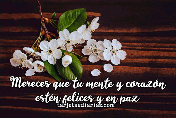 MERECES QUE TU MENTE Y CORAZÓN ESTÉN FELICES Y EN PAZ - Tarjetas Diarias
