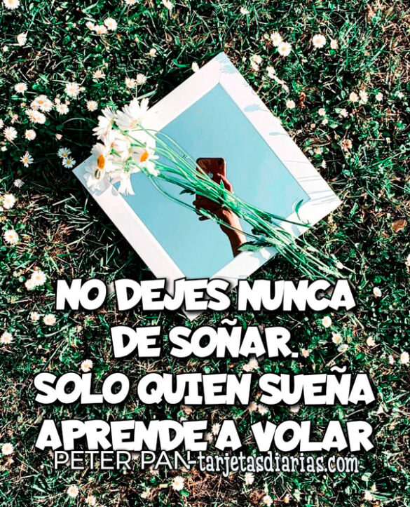 NO DEJES NUNCA DE SOÑAR, SOLO QUIEN SUEÑA APRENDE A VOLAR