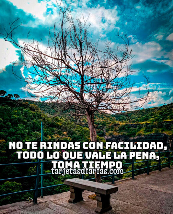 NO TE RINDAS CON FACILIDAD, TODO LO QUE VALE LA PENA TOMA TIEMPO