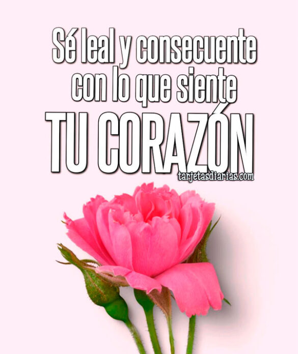 SÉ-LEAL-Y-CONSECUENTE-CON-LO-QUE-SIENTE-TU-CORAZÓN SÉ LEAL Y CONSECUENTE CON LO QUE SIENTE TU CORAZÓN