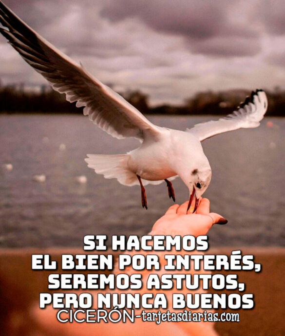 SI HACEMOS EL BIEN POR INTERÉS, SEREMOS ASTUTOS, PERO NUNCA BUENOS