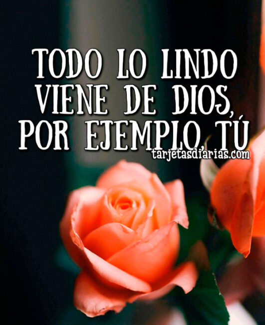 TODO LO LINDO VIENE DE DIOS, POR EJEMPLO, TÚ - Tarjetas Diarias