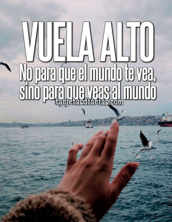 VUELA ALTO, NO PARA QUE EL MUNDO TE VEA, SINO PARA QUE VEAS AL MUNDO