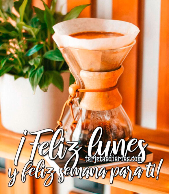 ¡FELIZ LUNES Y FELIZ SEMANA PARA TI!